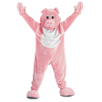 Pig Mascot - Teens