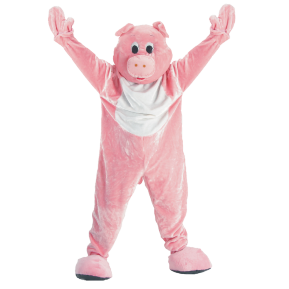 Pig Mascot - Teens