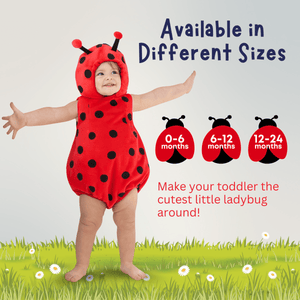 Ladybug Costume - Baby