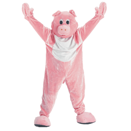 Pig Mascot - Teens