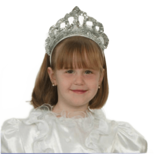 Silver Tiara with Veil